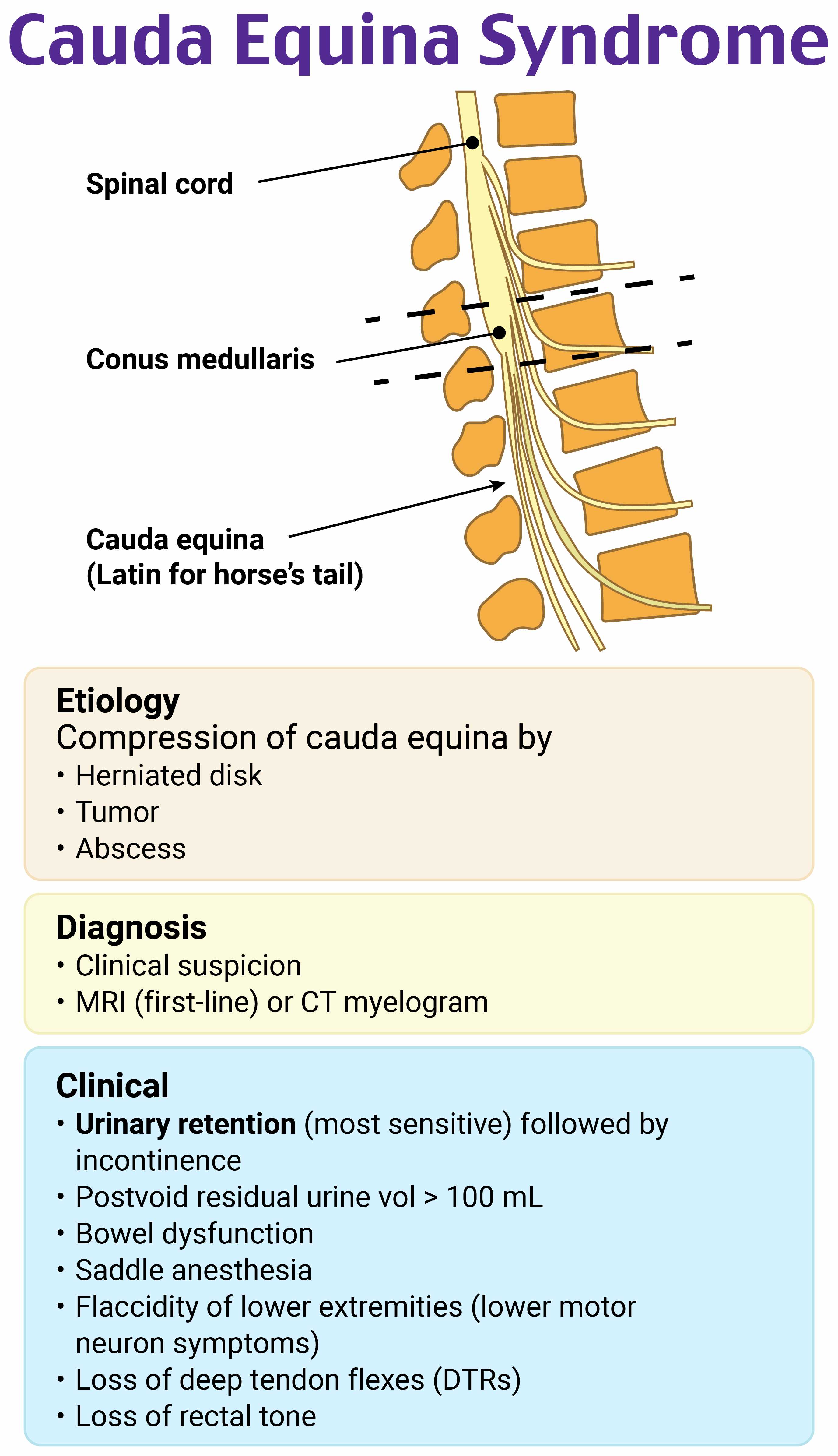 RoshReview ITE Emergency Medicine Review Rosh Review